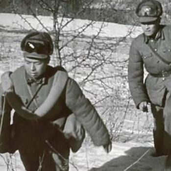 (血色浪漫的爱情)在血色浪漫的旋律中，探索爱与牺牲交织的动人故事