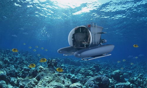 (潜水海底世界的短文)探索海底奇遇记：潜水日记300字免费分享，欢迎抄写