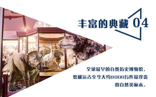 (栖木之声人物介绍)栖木之声：静谧林间的独白，自然交响乐的绝妙演奏。