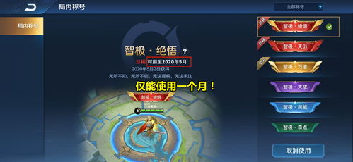 (代号lt)代号LOA公测时间揭秘：玩家们期待的开放测试究竟何时到来？