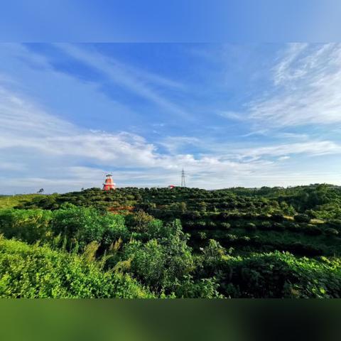 (梦幻西游 口袋版)探索梦幻西游口袋版：畅游奇幻世界的精彩旅程与精彩玩法详解