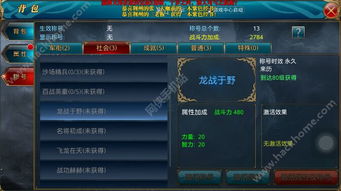 (御龙在天手游官网个人中心)御龙在天手游内部号大全：获取渠道与使用技巧详解