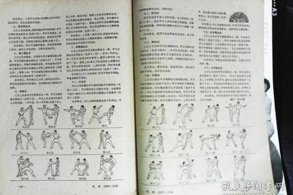 (八卦掌拳谱秘籍)神拳无敌八卦掌：传承千年的绝世武学秘籍，无人能敌！