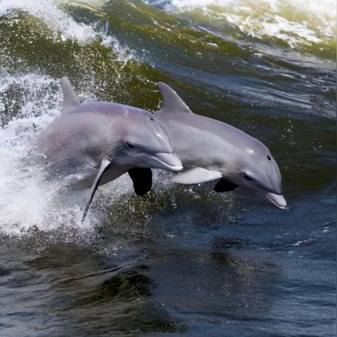 (穿越时空大冒险图书)穿越时空的地球大冒险：探索未知世界的第15集