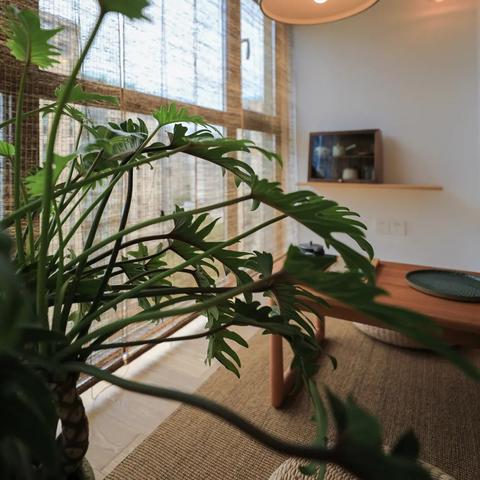 (电影橡木屋讲的是什么意思)橡木屋电影演员表：演员阵容精彩，实力派演员齐聚！