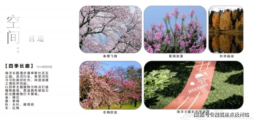 四季合合攻略：玩转春夏秋冬，揭秘四季风景，带你穿梭时光和空间！