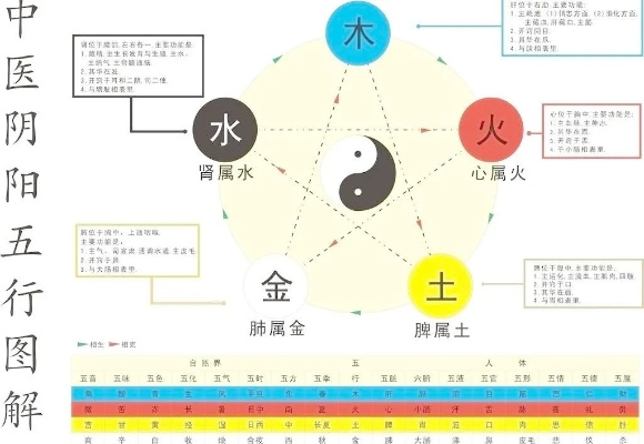 (五行师官方网站)五行师官网正版下载：全面解析五行学说，助您掌握命理奥秘