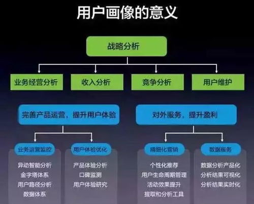 全面解析跃动小子卡珊德拉的使用方法与实战技巧，让你轻松掌握这位英雄的最佳玩法