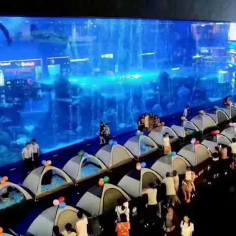 (云上城之歌职业视频)云上城之歌：探索平民职业，精彩推荐一网打尽