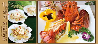 梦幻美食屋沙威玛传奇，无广告纯净享受令人垂涎的美味之旅