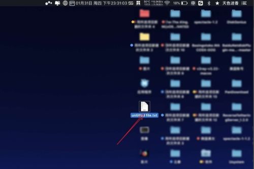(苹果电脑复制粘贴的快捷键按法)快速掌握苹果电脑操作：详解复制粘贴的常用快捷键指南