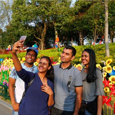 (萌宠探险闯关第20关怎么过)探险乐趣无限：萌宠大冒险v6带你融入奇幻世界的冒险之旅