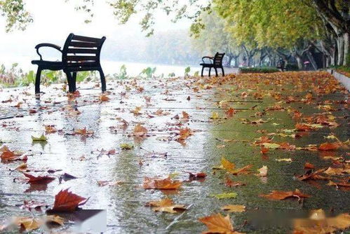 (石破,天惊,逗秋雨)在石破天惊的瞬间，感受深秋细雨带来的无限思索与诗意