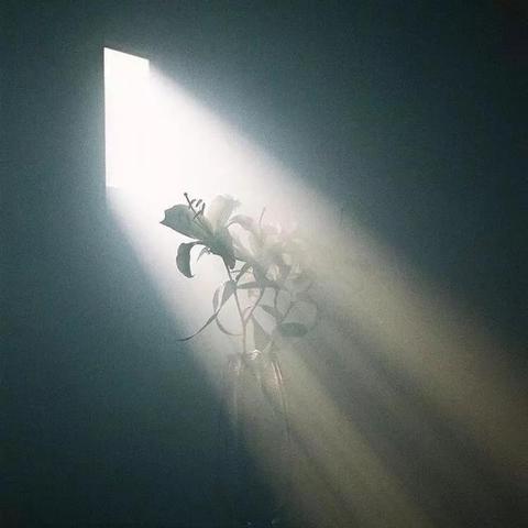 (剑落星辰小说)剑落星辰，战天地，征途漫漫，传奇重生，谁主沉浮，岁月静默