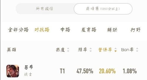 深度解析：十万个小伙伴如何优雅攻略考试，一步到位提升学习效率的实用指南