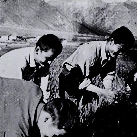 (代号为零游戏)探秘代号零恐怖游戏：解锁隐藏谜团，挑战极限恐怖体验