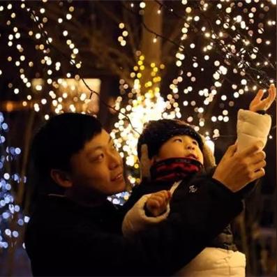 狩猎吧原始人远古兽培养哪只？如何在野外生存中正确训练和驯养史前巨兽？