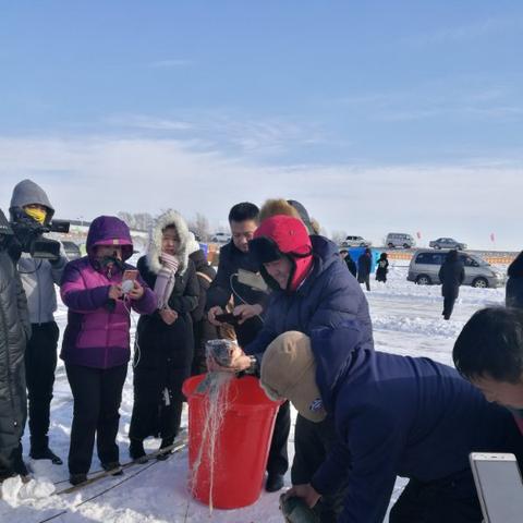 御龙在天手游礼包领取大全，助你轻松提升实力，尽情征战游戏世界