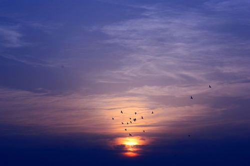 扯个蛋子以诗破敌一，唱响世间故事，探寻意境之美，解读诗意深情，启迪心灵灯塔，引领文学新风潮。