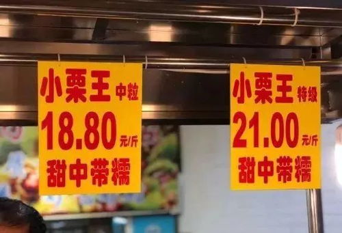 (加盟店排行榜前十名比较火的)全国最火的加盟店项目，抢占市场热潮，实现创业梦想！