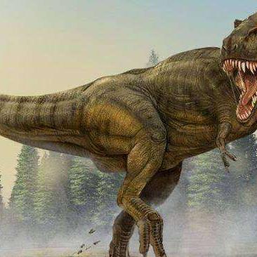 (阿根廷龙简笔画大全)绘制一个巨大的阿根廷龙，展现它的神秘力量和壮丽美丽