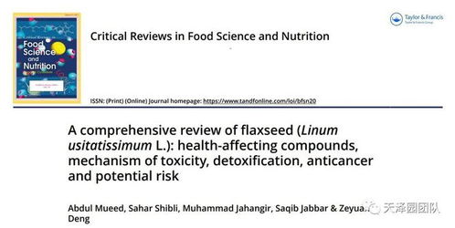 掌门当心：如何应对团队中的潜在风险与挑战，提升领导力与决策能力