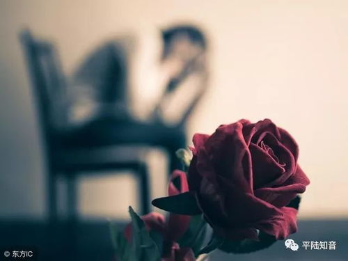 在沉默中寻找情感连结：揭秘哑巴通房11h的爱情观与人性独特观察力