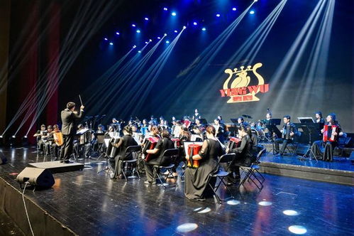在全球音乐舞台展示独特风采：深入剖析音乐世界赛特斯的魅力与变革之道