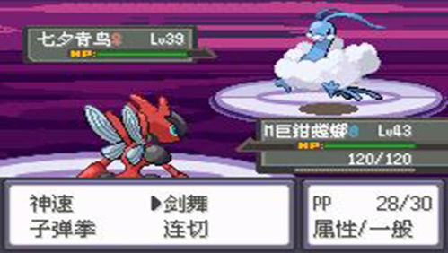 探索口袋星际宝可梦服务器的无限乐趣：打造属于你的冒险旅程与梦想队伍