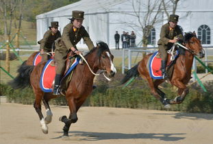 (古风侠士图片)古风侠客飘逸英姿，身姿矫健骑马扬鞭，英气勃发风采卓越。
