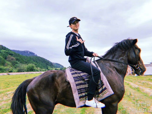 (古风侠士图片)古风侠客飘逸英姿，身姿矫健骑马扬鞭，英气勃发风采卓越。