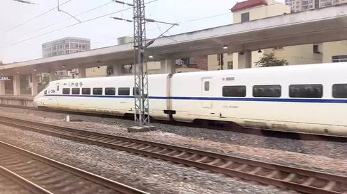 (当火车鸣笛三秒全流程介绍)当火车鸣笛三秒密码：穿越火车轨道必备安全法则