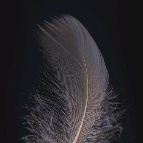 黑暗与光明手游攻略大全：揭秘职业技能、BOSS战术、副本攻略等核心内容