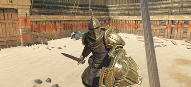 (老滚五刀锋战士工会)老滚5随从揭秘：刀锋战士将如何加入你的队伍？