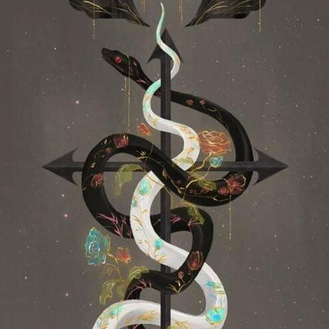 (上古传奇十二生肖传奇观看)揭秘上古传奇之十二生肖传，探寻百度百科中的神秘传说