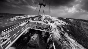 怒海雄心定国：勇往直前，展翅高飞，再无人能阻挡我们前行的步伐