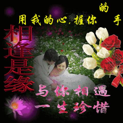 (以学为主,以教为辅)以教为乐，以学为忍——遇见作文600字的学习与挑战