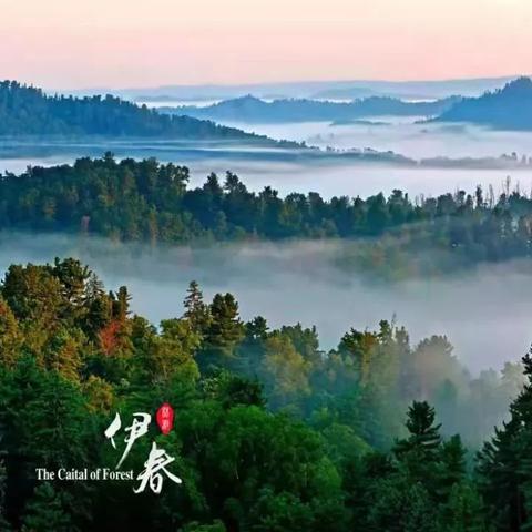 深度解析《无限命运之弦》全面攻略，提升游戏技巧获取更多奖励