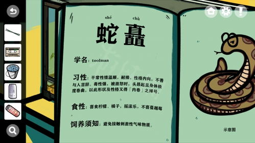 (驿站小报答题器)“2023驿站小报：揭秘神秘谜题，解开所有谜团！”