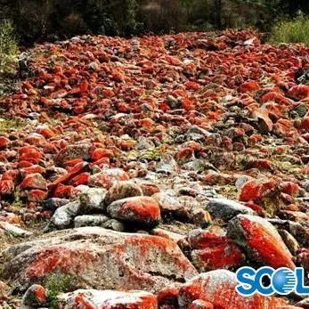 (探星星界)探寻星季官方网站入口：发现最新资讯、精彩活动及限时优惠！