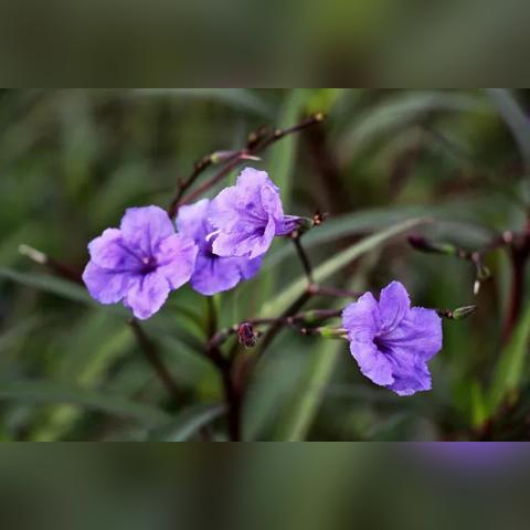 我天天远征手游最新版本更新内容大揭秘！