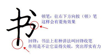 (顿笔是什么意思?)解释什么是顿笔？顿笔是怎么用的？