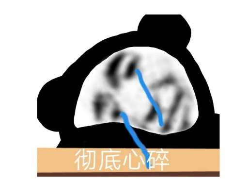 (碎了的表情包)当心! 整个人碎碎的表情包图片，笑到碎碎的人生。