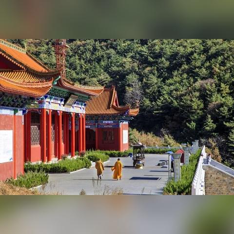 走进梦幻小镇大雄园地：探寻儿童天地的欢乐秘境，激发孩子们的无限创意和想象力