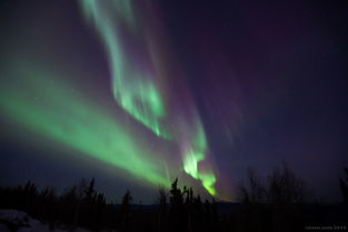 (白夜极光成就)探寻极光之美，白夜奇迹尽揽全景——详解白夜极光图鉴Wiki