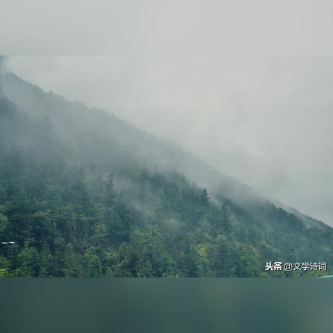 再见永远不见大结局"：探索生死离别的苦痛，人性挣扎与爱的价值的最终告别