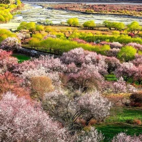 深度解析桃源仙境三国手游攻略：从角色选取到战略布局，帮你轻松称霸全服