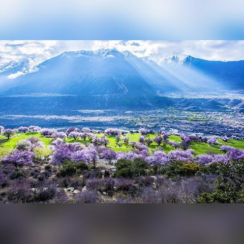 (雾境序列百科)雾境序列:揭秘最强的六大主要角色与他们的传奇故事 (雾境序列百科)雾境序列:揭秘最强的六大主要角色与他们的传奇故事