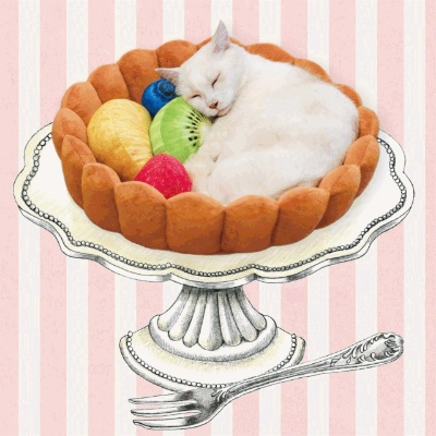 (猫咪甜品名字)美味又可爱！猫咪糕点让您享受双重滋味的甜点体验