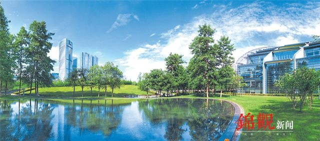 (心中理想森林城市)315报道曝光:人们心中的理想森林被揭秘 (心中理想森林城市)315报道曝光:人们心中的理想森林被揭秘